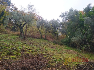 Terreno agricolo in Vendita a Perugia, 30'000€, 9321 m²
