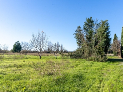 Terreno Agricolo in vendita, Vinci sovigliana