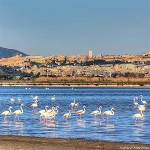 Appartamento in Vendita in a Cagliari