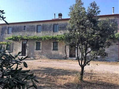 Country Estate with Land for Sale in Capalbio: Panoramic View and Development Potential