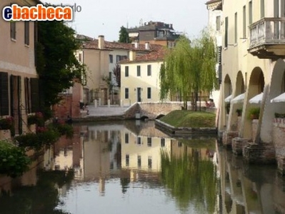 Negozio a Treviso di 712..