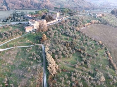 Capannori: Proprietà rurale con terreni vitati e oliveti in vendita a 11 km da Lucca