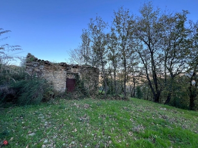 Terreno agricolo in Vendita in S.S. Tirrena Inferiore a Ogliastro Cilento