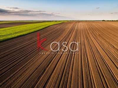 Terreno agricolo in Vendita in a Sarego