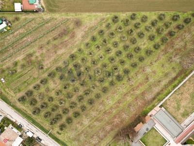 Terreno agricolo in Vendita in Via Mariolo a Santarcangelo di Romagna