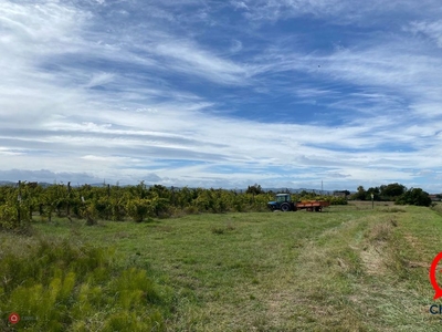 Terreno agricolo in Vendita in Via Soprarigossa a Gambettola