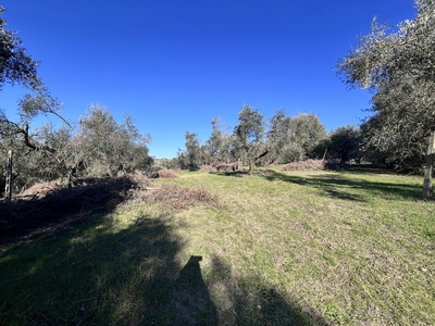 Terreno Edificabile in vendita a Fonte Nuova