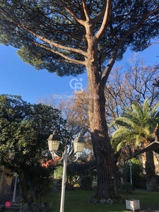 Terreno edificabile in Vendita in Via Vecchia di Grottaferrata a Marino