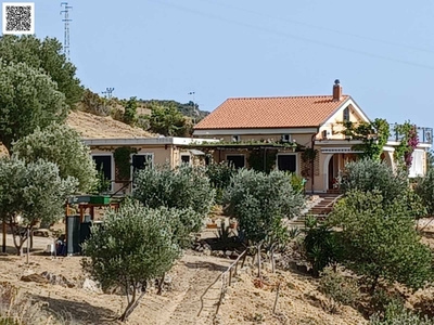 Villa in Vendita a Pisciotta Via Terra Bianca