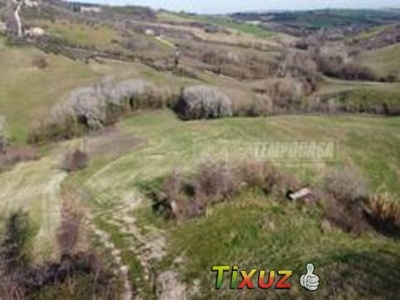 Terreno agricolo a Colmurano di mq 3823900 con r