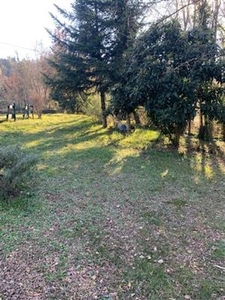 Terreno agricolo in buono stato di 7000 mq. a Colognole