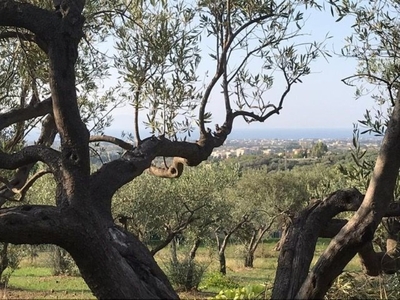 Terreno Agricolo in vendita a Barcellona Pozzo di Gotto barcellona Pozzo di Gotto cuccumona,sn