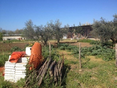 Terreno Agricolo in vendita a Battipaglia via Fosso Pioppo, 0