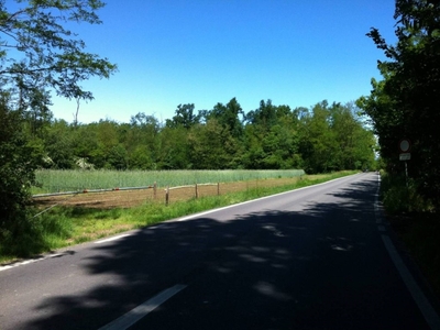 Terreno Agricolo in vendita a Besnate strada Provinciale 34