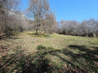 Terreno Agricolo in vendita a Botticino