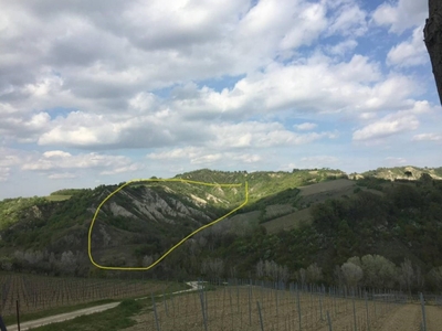 Terreno Agricolo in vendita a Brisighella via Rio Chie'