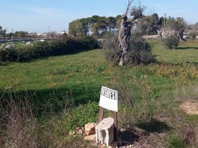 Terreno Agricolo in vendita a Castrignano del Capo strada Provinciale Castrigano del Capo Marina di Leuca