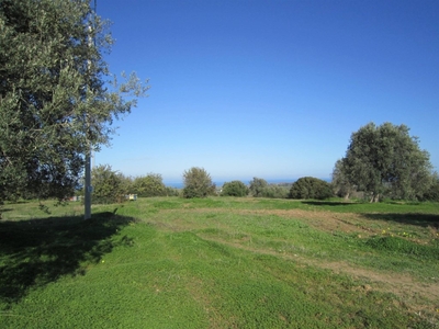Terreno Agricolo in vendita a Corigliano-Rossano c.Da gelso mazzei Snc