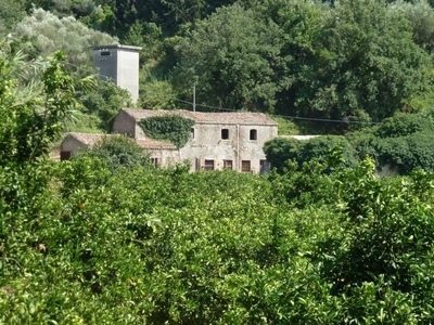 Terreno Agricolo in vendita a Ficarra contrada Mulinazzo