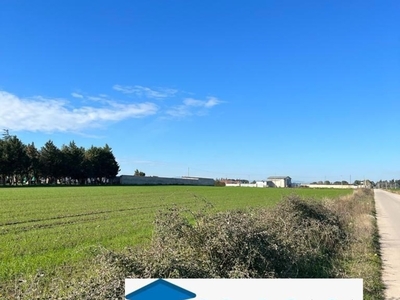 Terreno Agricolo in vendita a Foggia via camporeale