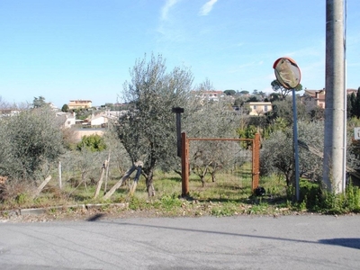 Terreno Agricolo in vendita a Frascati