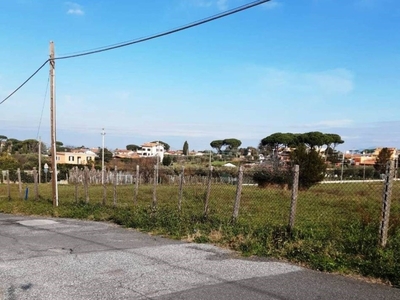 Terreno Agricolo in vendita a Frascati via della Cavona, 54