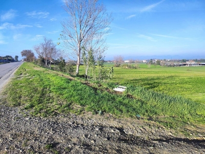 Terreno Agricolo in vendita a Capaccio Paestum via Vicinale Scorza Scigliati, 63