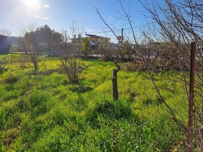 Terreno Agricolo in vendita a Olevano sul Tusciano