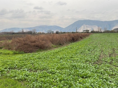Terreno Agricolo in vendita a San Vitaliano via Fusarelle