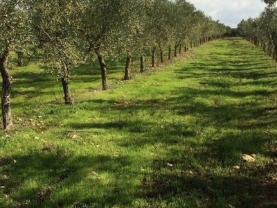 Terreno Agricolo in vendita a San Vito dei Normanni c.Da Marmorelle