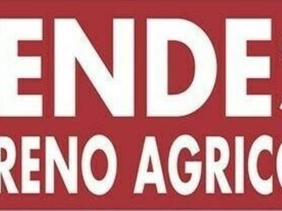 Terreno Agricolo in vendita a Sinagra contrada Mulinazzo