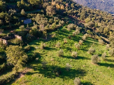 Terreno Agricolo in vendita a Sinagra contrada Mulinazzo