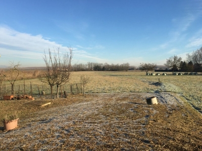 Terreno Agricolo in vendita a Suzzara