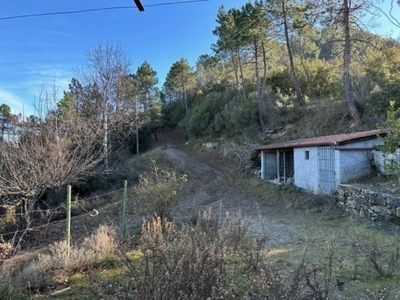 Terreno Agricolo in vendita a Dolceacqua