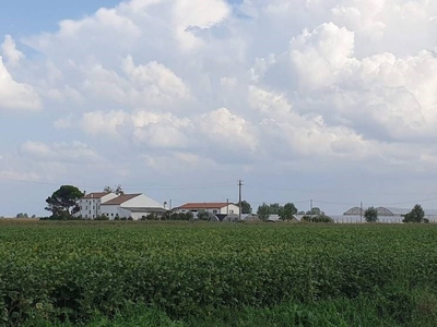 Terreno Agricolo in vendita a Villa Bartolomea via Franzine Sud