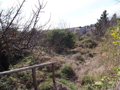 Terreno Agricolo in vendita a Zafferana Etnea via archimede