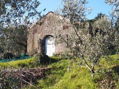 Terreno Agricolo in vendita a Zagarolo via Colle Ripa