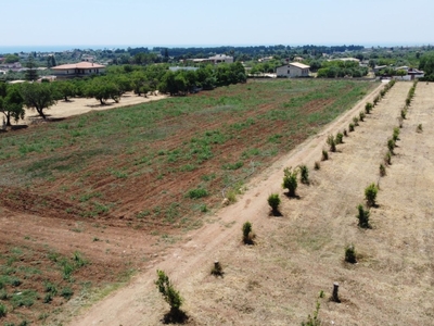 Terreno Agricolo in vendita ad Avola contrada Gallina