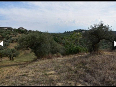 Terreno Residenziale in vendita a Moscufo