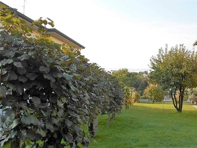 Casa indipendente in Vendita a Casatenovo centro