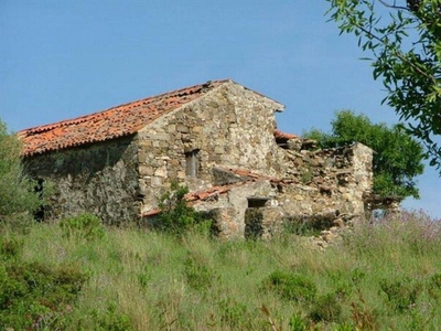 Casa indipendente in Vendita a Pollica