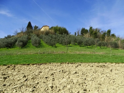 Casa indipendente in vendita a San Miniato