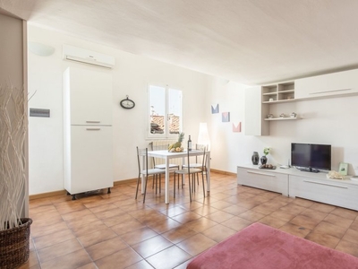 Luminoso appartamento con 1 camera da letto in affitto a Oltrarno, Firenze