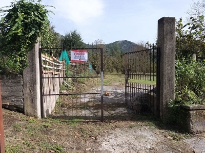 Terreno Agricolo in vendita a Castel San Giorgio