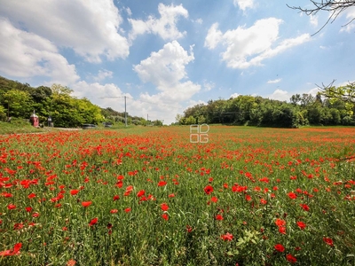 Terreno agricolo in vendita a Desenzano Del Garda