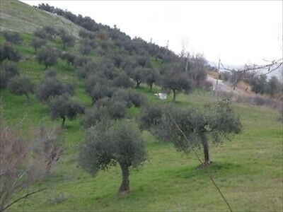 Terreno agricolo in Vendita a Ripa Teatina VIA CASALE