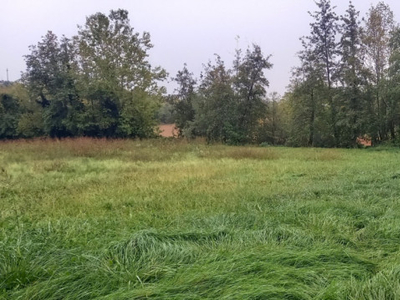 terreno residenziale in vendita a Lonato del Garda