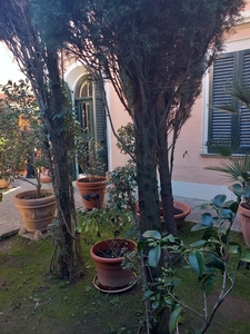 Villa Bifamiliare con giardino, Pisa san marco