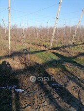 Terreno agricolo in Affitto in a Zevio