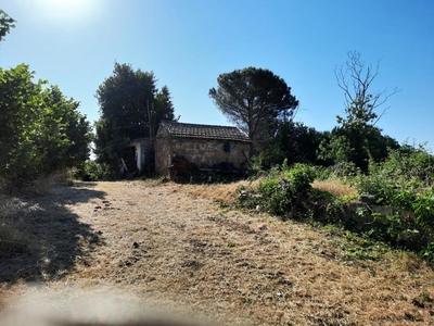 Terreno Agricolo in vendita a Nepi